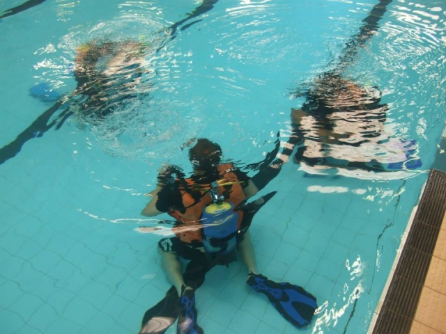  Allenamento in piscina 